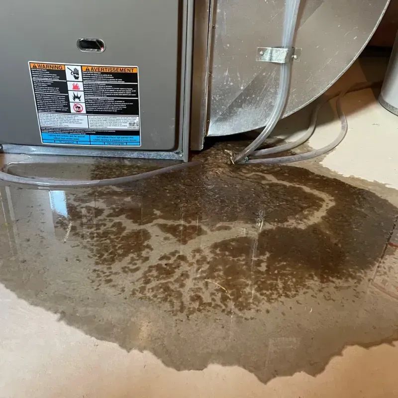 Appliance Leak Cleanup in Clarkton, MO